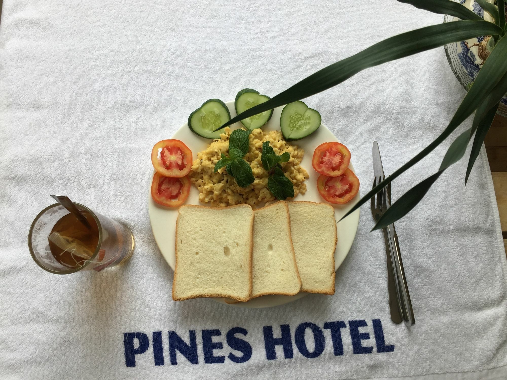 Pines Hotel Dalat Bagian luar foto